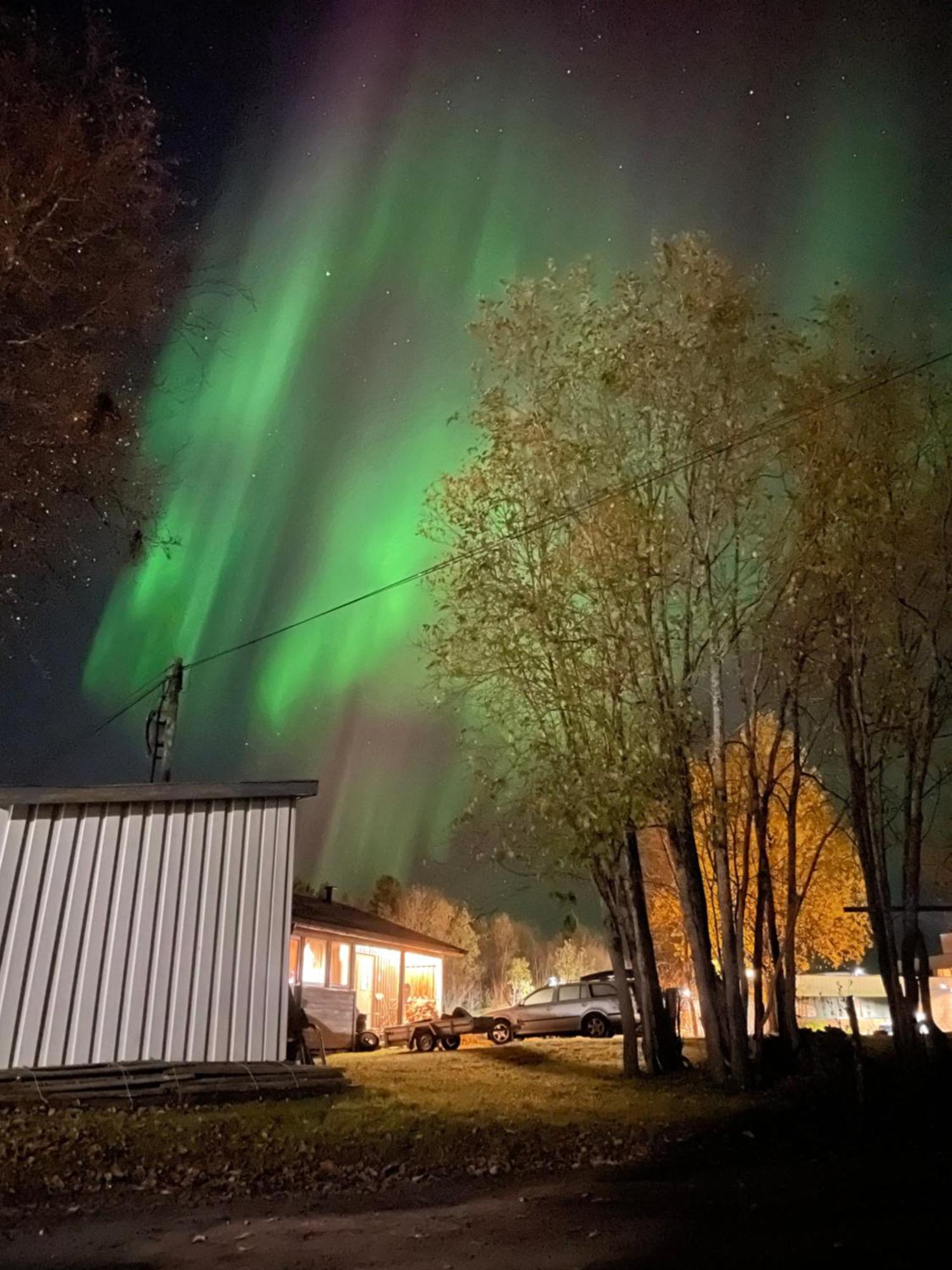 Sentral Og Romslig Leilighet Naert Senja Финнснес Экстерьер фото