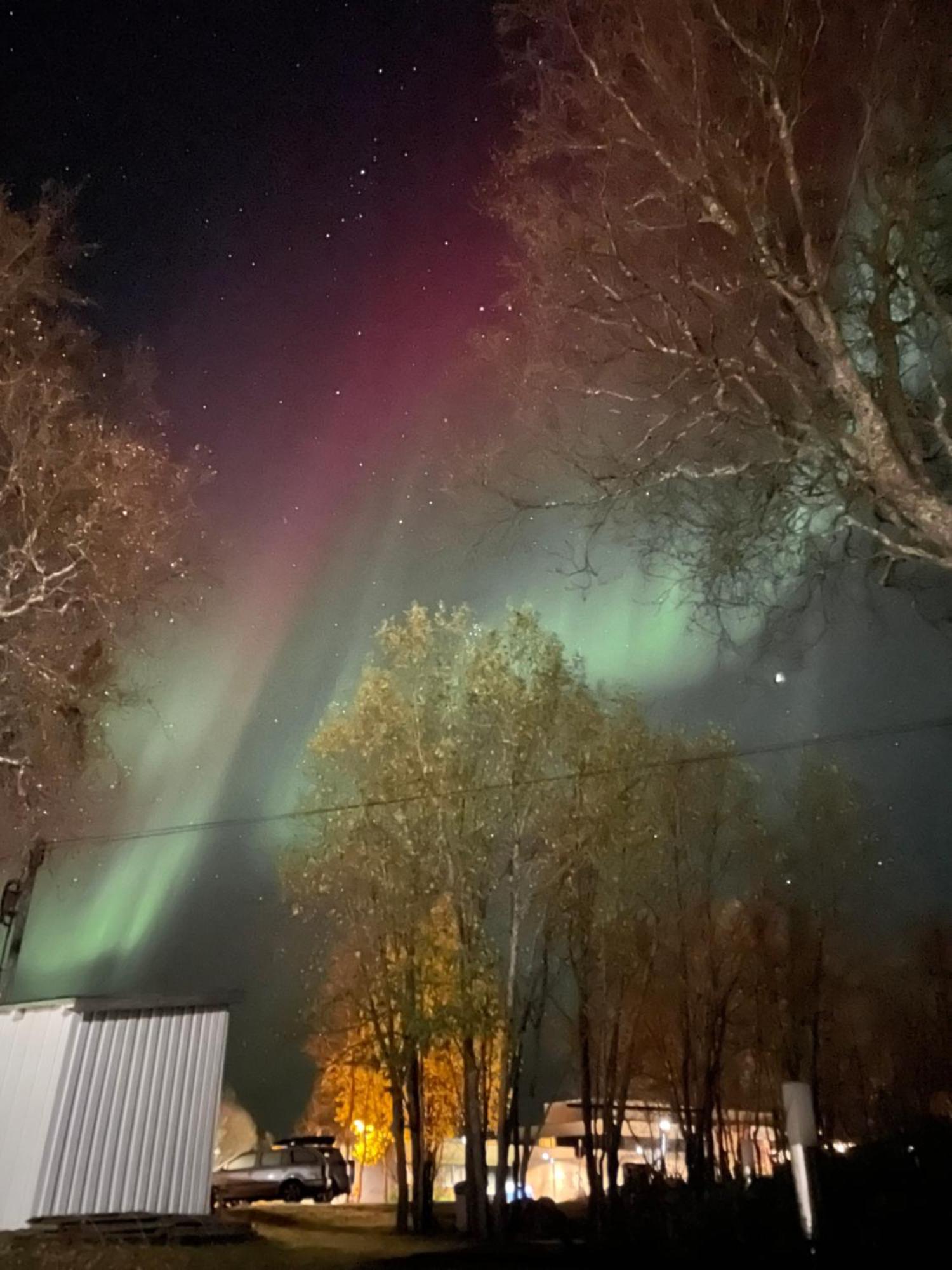 Sentral Og Romslig Leilighet Naert Senja Финнснес Экстерьер фото